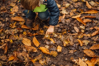 Young child crouched down looking at leaves 