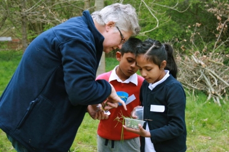 Nature Friendly Schools