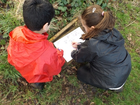 Pupils design their ideal Outdoor Learning area