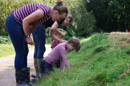 Devon Wildlife Trust