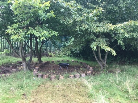 North Walsall Primary Academy
