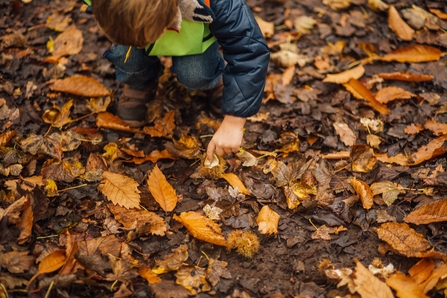 Young child crouched down looking at leaves 