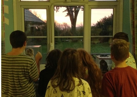 Six children looking out a window