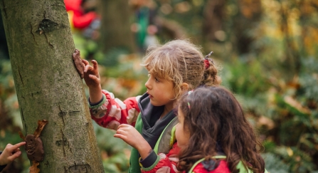 Nature Friendly Schools